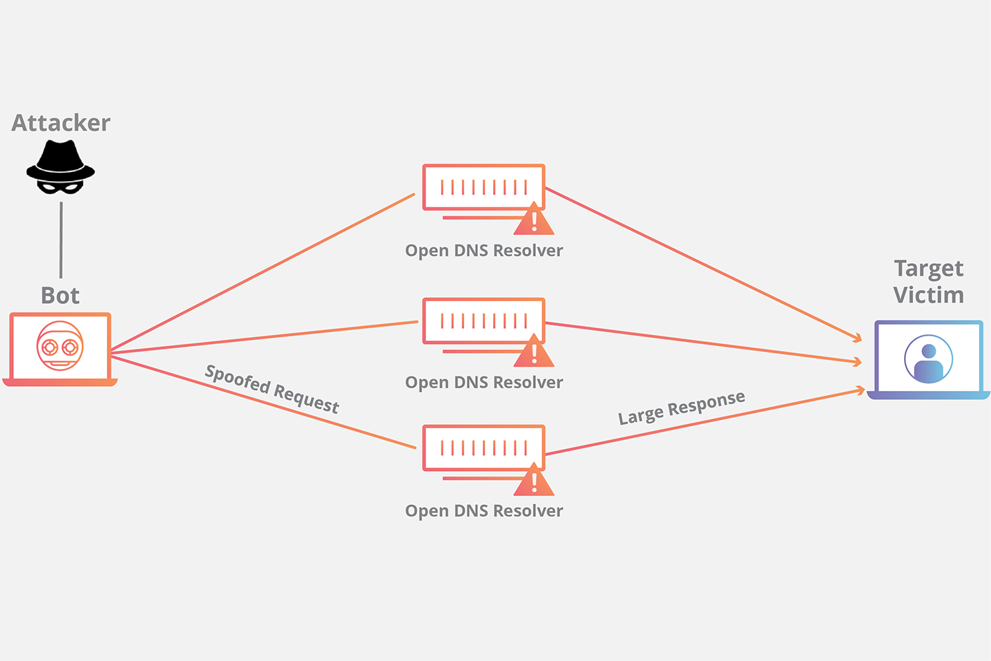 DNS Amplification