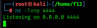 NetCat 1